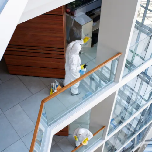 building cleaning