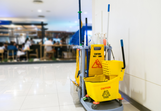 In-Demand Cleaning Services